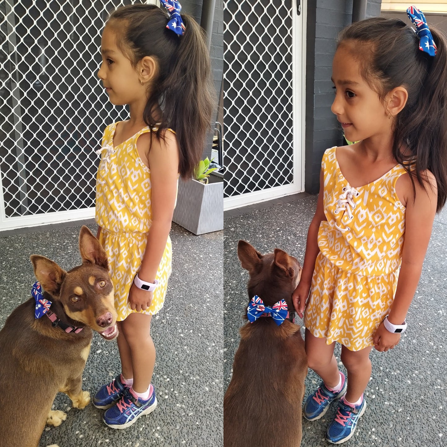 Pet Bows