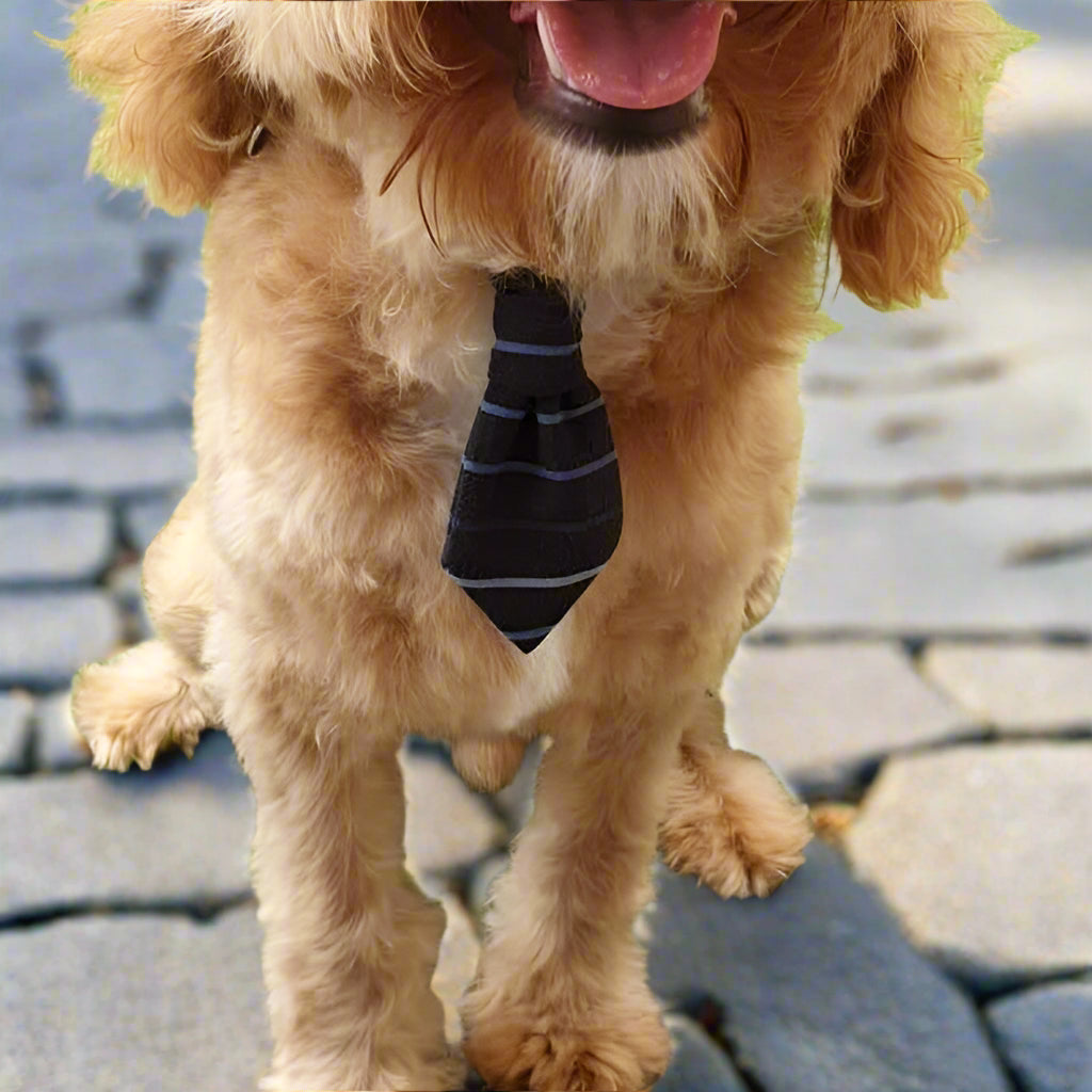 Pet Ties