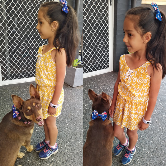 Pet Bows